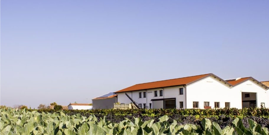 a mezőgazdasági üzem fokozza a tauro szárítók üzletágát