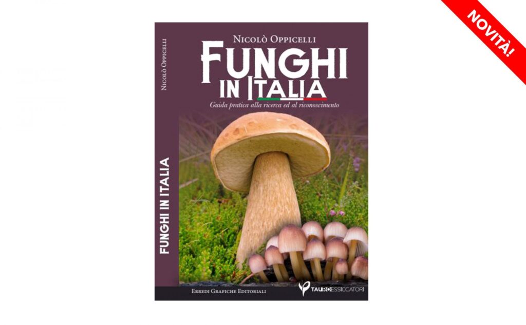 Funghi in Italia