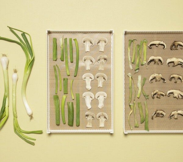 I 5 prodotti essiccati da provare subito