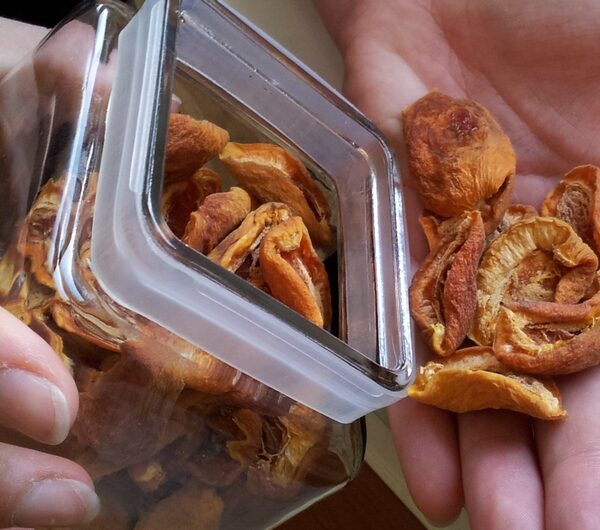 Essiccare le albicocche