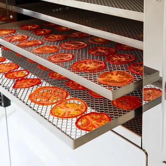 Profi-Trockner B.Master PLUS TWIN