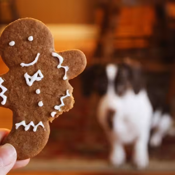 Settore Produttori di pet food