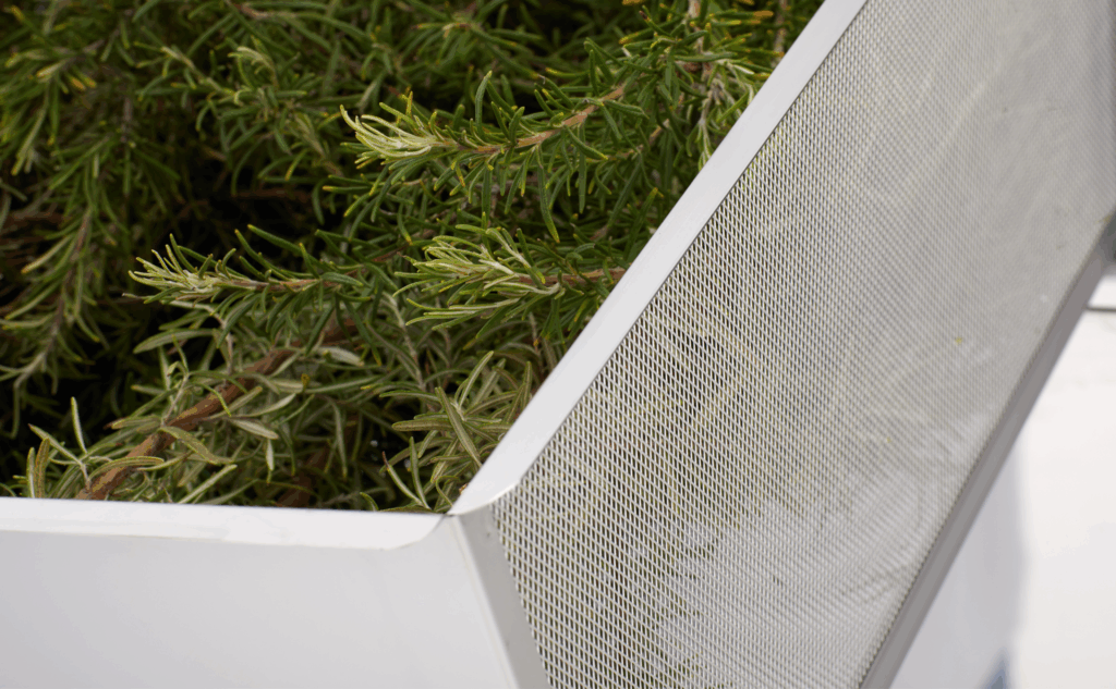 Merkmale B.Master PLUS