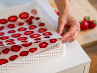 Doppio strato di reti antiaderenti DrySilk per essiccatore Biosec Tauro con fette di fragole essiccate.