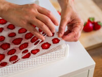 Mani che sollevano la retina antiaderente DrySilk con fragole essiccate nel cestello dell'essiccatore Biosec.