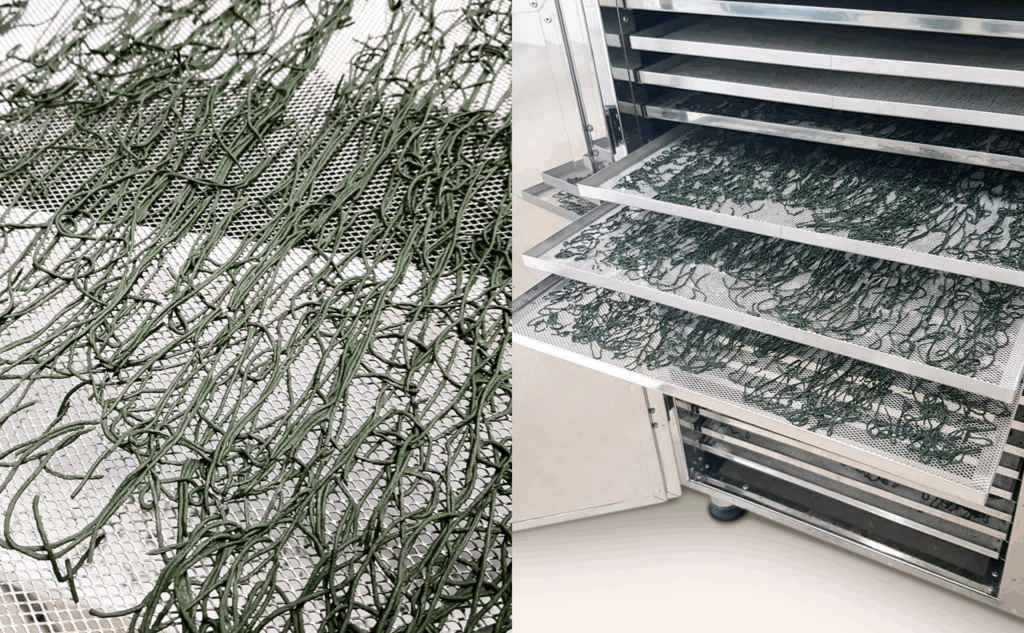 Merkmale B.Master PLUS