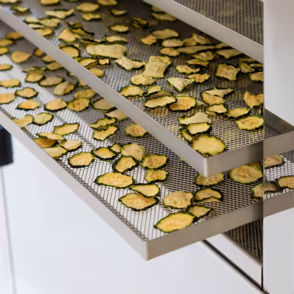 Professional food laboratory dryer