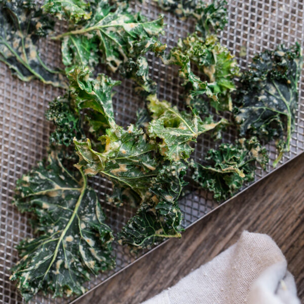 Chips essiccate di cavolo riccio con crema agli anacardi