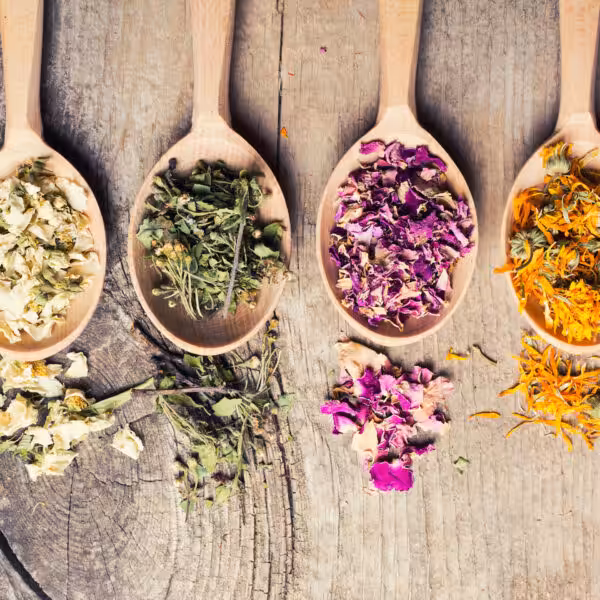 Settore Produttori di erbe aromatiche e tisane