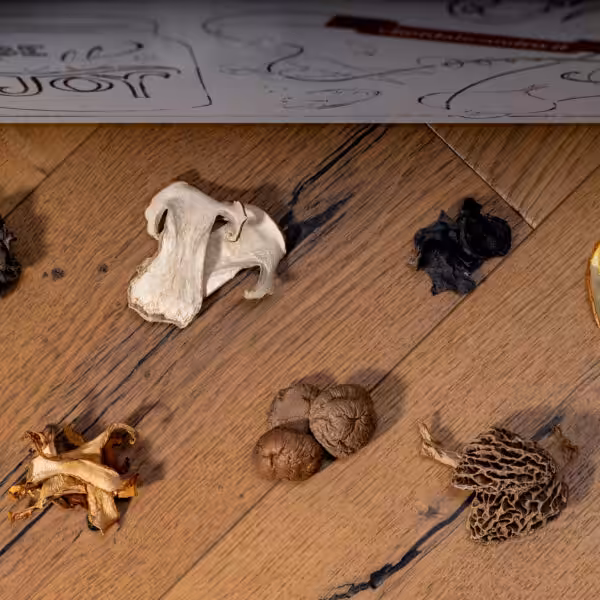 Funghi