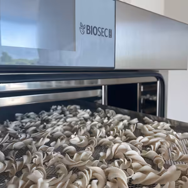 Pasta dryers: how to choose the right one