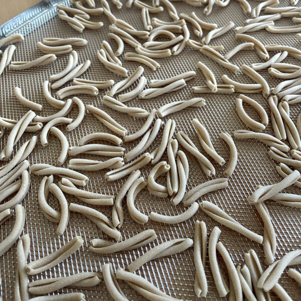 Pastifici e laboratori per la pasta