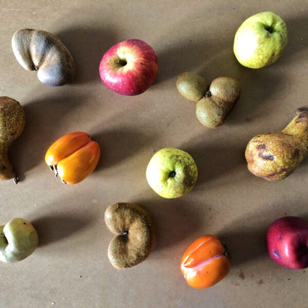 Guía para el secado de la fruta