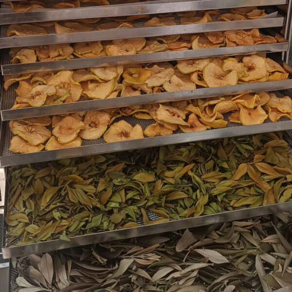 How to earn money with dried products