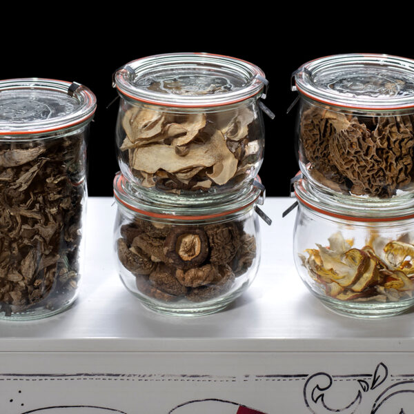 How to store dried mushrooms properly