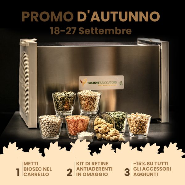 Autumn 2026 promotion