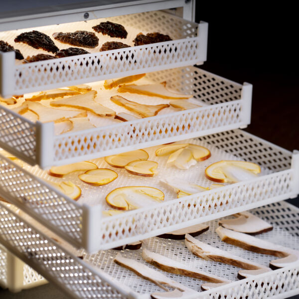 Washing mushrooms before drying them: the definitive guide to safe cleaning
